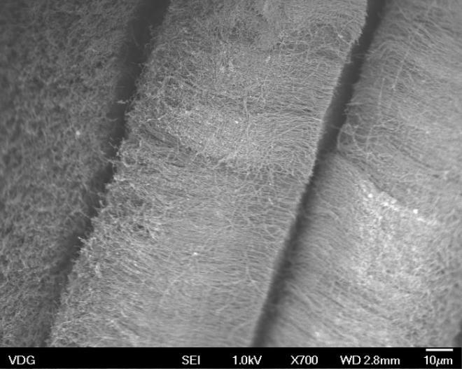 material obtido apresenta um alto grau de pureza, devido à ausência de carbono amorfo e da pequena concentração de nanopartículas