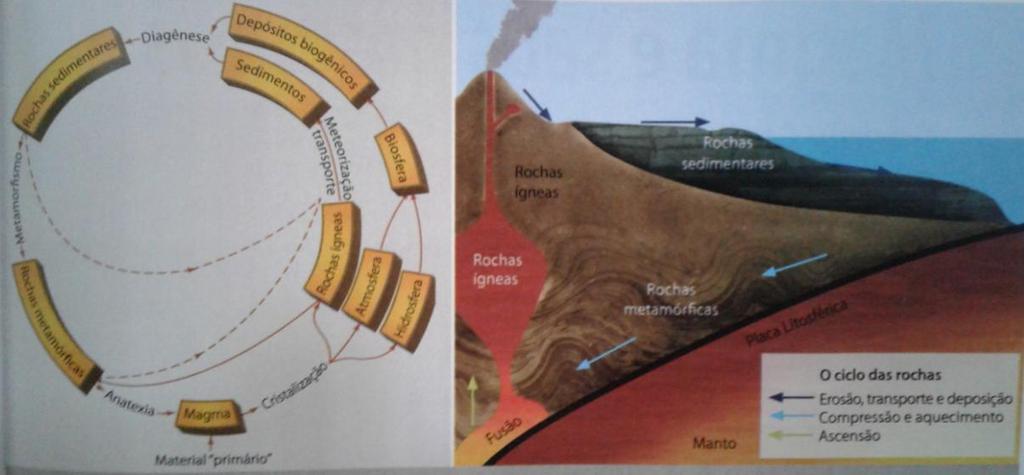 Ciclo das