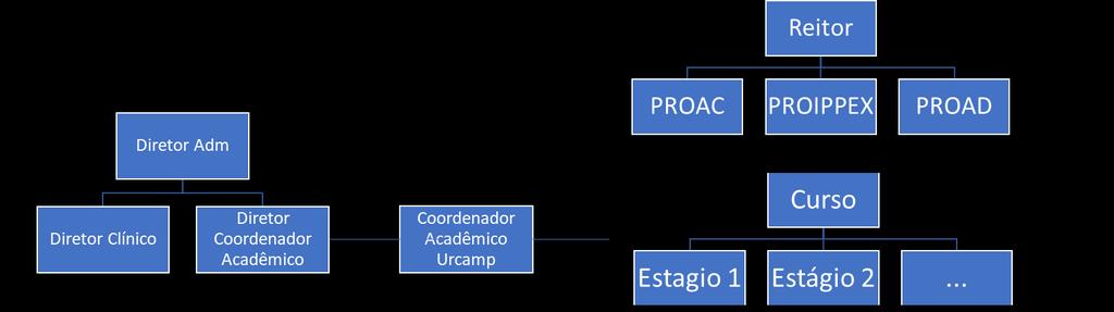 Figura 1: Estrutura da Urcamp e do HU para a conexão dos estágios curriculares Diretor ou coordenador Acadêmico HU: Articulação com a Urcamp para as ações de ensino, de pesquisa e de extensão;