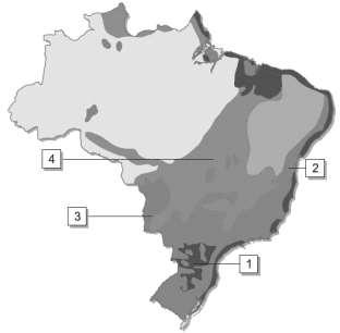 8ª Questão: Os números marcados no mapa abaixo indicam a ocorrência de importantes ecossistemas brasileiros. Com base nisso, assinale a associação correta.