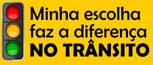 Contribuir com atitudes pessoais que privilegiem a segurança nas ruas e estradas do país; Sugerir e promover um calendário de ações públicas de sua instituição e/ou