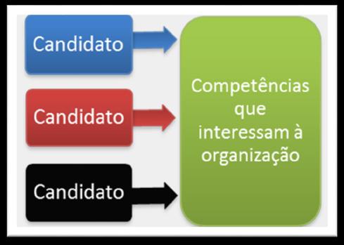 organização.