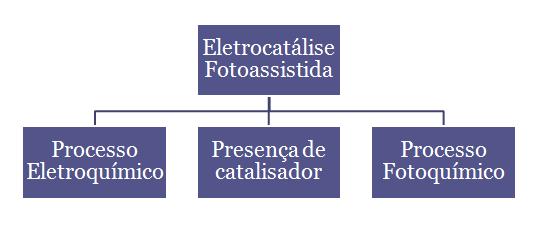 podem ser encarados como processos aliados aos Doze Princípios de Química Verde no que tange ao uso da catálise (MARTÍNEZ-HUITLE, BRILLAS, 2009).