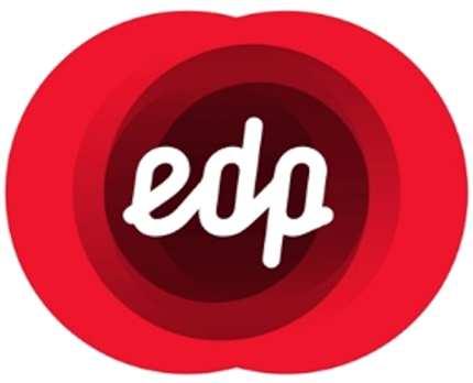 EDP Energias do Brasil Resultado do Leilão para Concessão do