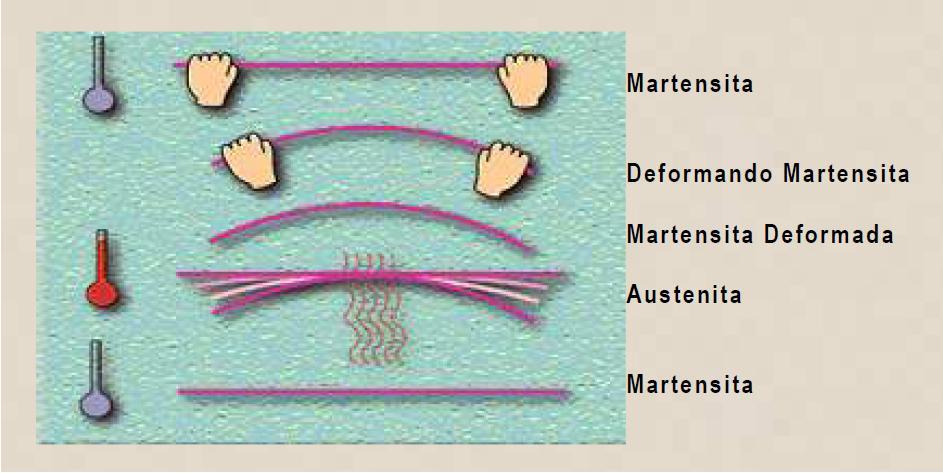 Figura 4. Ilustração da visão macroscópica do EMF em uma barra de LMF submetida a deformação por flexão.