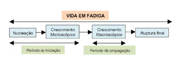 Figura 13. Processo de fadiga tipicamente observado nos materiais metálicos em geral. Fonte: Disponível em http://fei.edu.br/~rodrmagn/projetos_ic/diego.pdf. Acesso em 15/4/212.