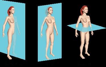 Planos de secção do corpo humano Exercitando Os planos de delimitação são formados por quatro planos verticais e dois horizontais. Os planos horizontais são subdivididos em: a) cefálico e podal.