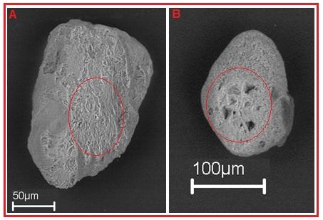 Minerais pesados opacos - As análises semi-quantitativas de EDS dos opacos revelaram