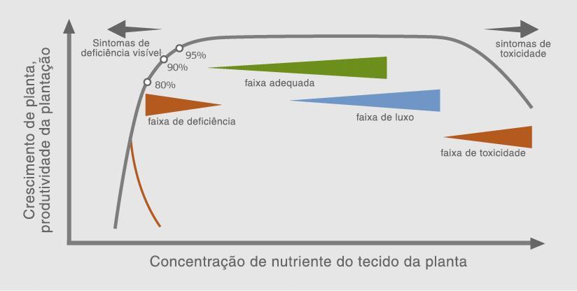 Modelo teórico para o relacionamento entre o teor do