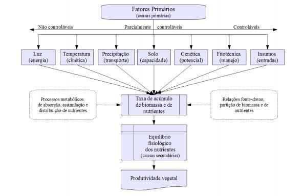 Fonte: Embrapa Acre.