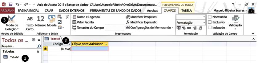 No momento que escolher Modo Design, você deverá salvar a tabela. Usaremos o nome Alunos. Agora, você terá que definir os Campos que farão parte de sua tabela.