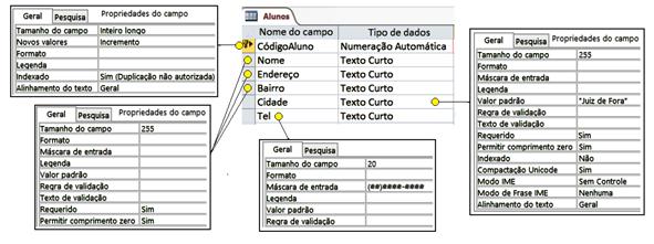 influenciar diretamente no tamanho total do arquivo de banco de dados), formato, máscara de entrada (quando necessário), se o preenchimento será