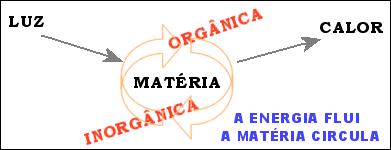 Fluxo de Energia nos Ecossistemas A ENERGIA