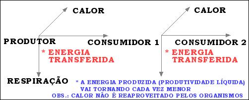 Fluxo de Energia