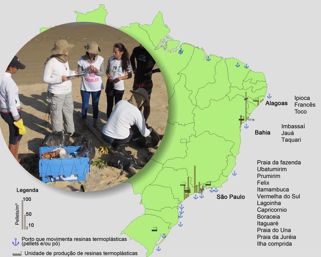 Convênio Plastivida IO/USP Ações realizadas em 2013: Continuação do levantamento de bibliografia; Diagnóstico e