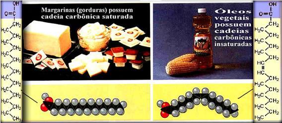 Diferença entre óleos e gorduras GORDURAS = Apresentam ácido graxo de cadeia saturada (simples ligações).
