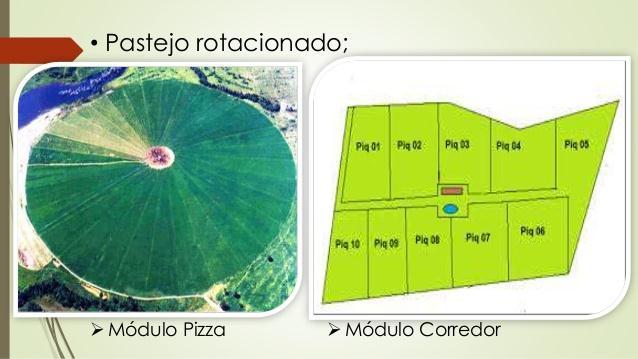 O sistema de lotação rotacionado ou diferido têm sido recomendado com base na pressuposição de que as