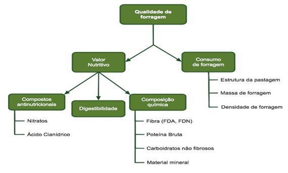 Produção de Biomassa x Valor Nutricional A disponibilidade e a qualidade das forrageiras são influenciadas pela