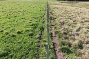 As pastagens ocupam dois terços da área agricultável do mundo; Brasil possui cerca de 172 milhões de hectares de pastagens naturais e plantadas, o que corresponde a 20% do território do país (Censo