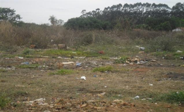Figura 6: Lixo nos arredores do córrego e do bairro.