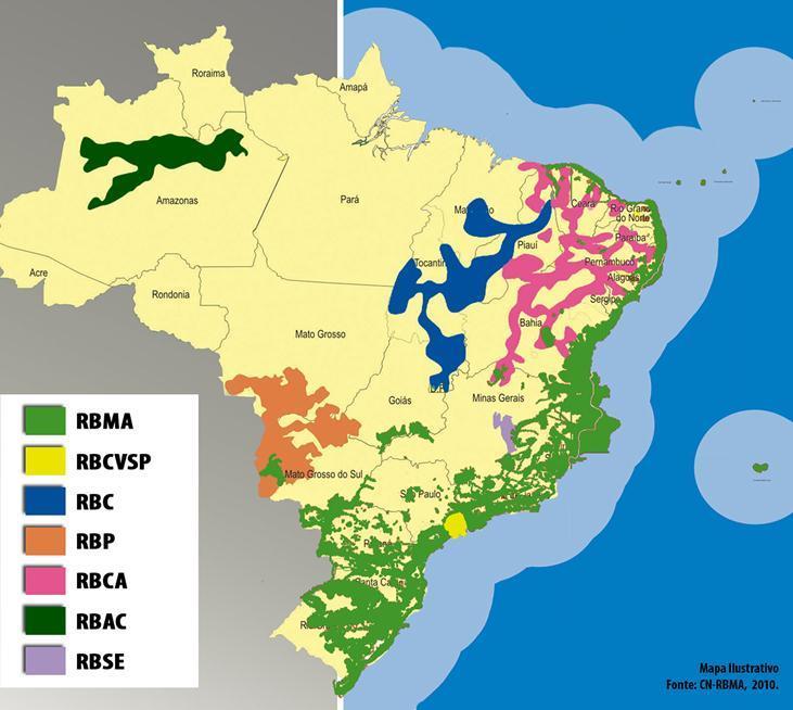 654 km 2 1993 RB do Cinturão Verde/ SP (2008) Área = (18.