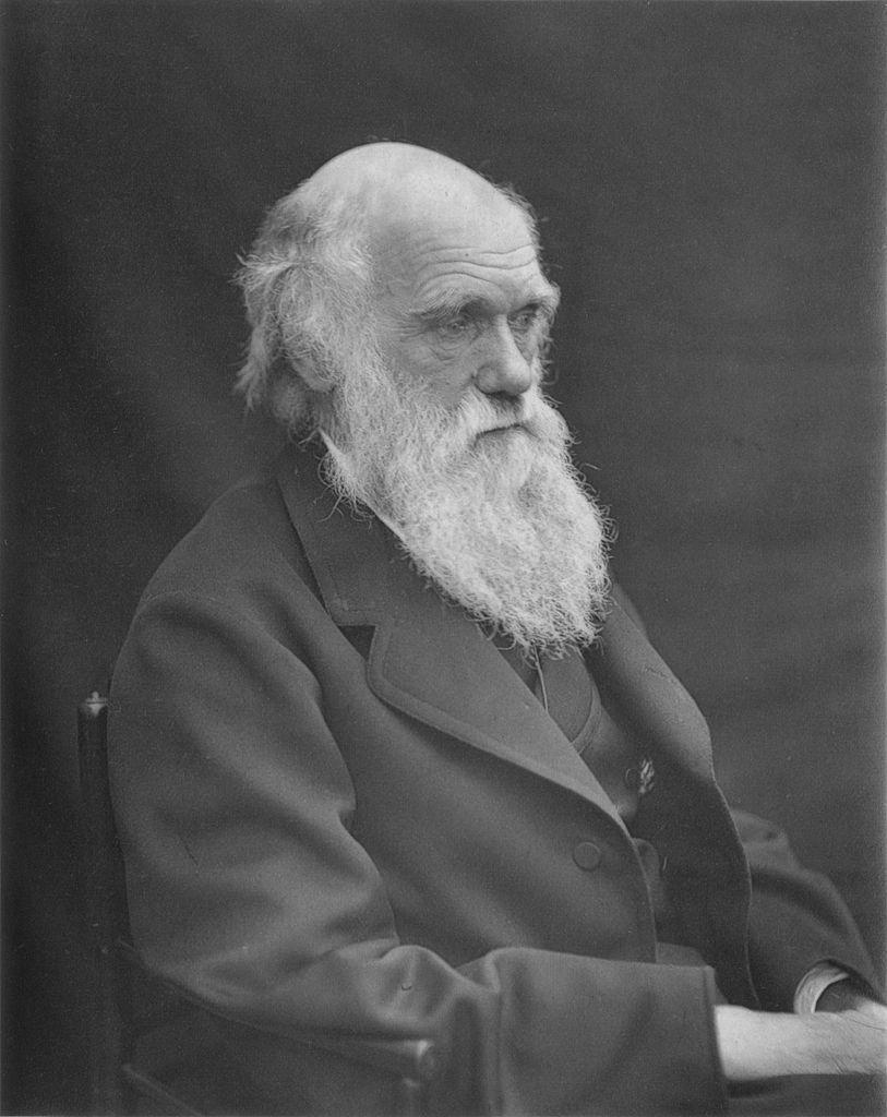 Aspectos históricos Charles Darwin QUARTETO Teoria da Evolução das Espécies