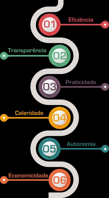 Sistema Mosaico: premissas Redução do tempo de análise Acesso pela internet Documentação