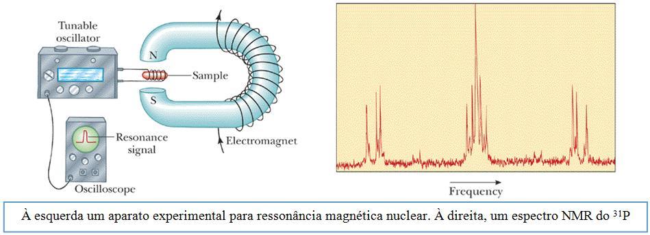 O termo ressonância advém do fato de que a amostra é submetida a um campo eletromagnético de frequência variável, o que permitirá a identificação do spin nuclear (relacionado com um tipo de tecido
