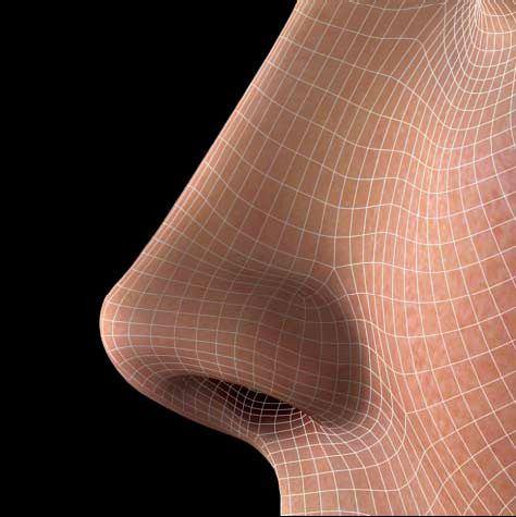 18 Fonte: Adaptado de Toriumi DM. New concepts in nasal tip contouring. Arch Facial Plast Surg 2006;8(3):156-185.