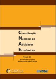 Para cada município são apresentadas as 20 ocupações com mais empregos formais em 2009, segundo a Relação Anual de Informações Sociais Rais, as que se revelaram mais dinâmicas na criação de postos de