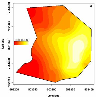 116 Ferreira, M. J. et al. FIGURA 4: Distribuição espacial da umidade do solo (%) no período de outubro/2005 a julho/2006 na nascente 2.