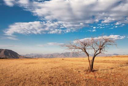 Câmara e Galeria Modo de intervalo de tempo O modo de intervalo de tempo permite-lhe capturar e acelerar alterações subtis ao mundo natural.