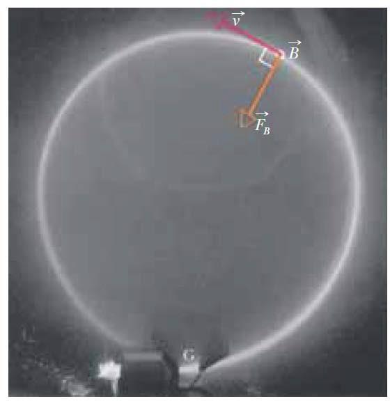 Uma Partícula Carregada em Movimento Circular Substituindo o raio, temos Elétrons circulando em uma câmara que contém uma pequena quantidade de gás (a trajetória dos elétrons é o anel