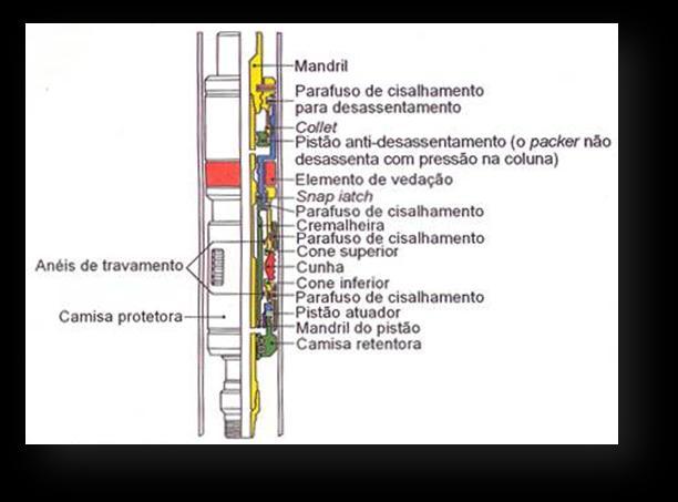 por pressurização da coluna e o desassentamento é realizado tracionando-se a coluna. Figura 11: Ilustração de packer de produção recuperável.