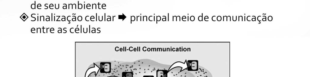 As trocas de informações entre as células condicionam e regulam o funcionamento dos órgãos e determinam a
