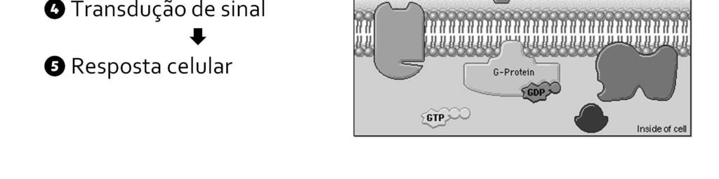 GPCRs=G