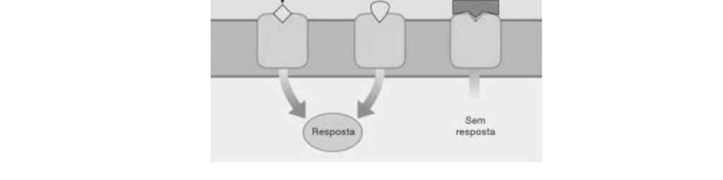 resposta (ligante primário e agonista) ou o ligante tem efeito