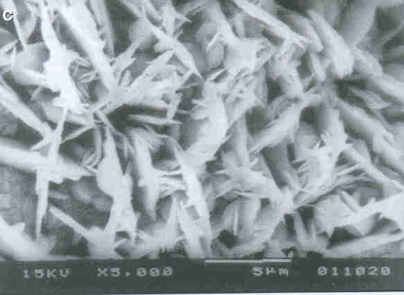 Goetita afeooh São agentes de estabilidade estrutural no solo Promovem retenção de P Goetita (em microscopia eletrônica)