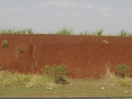 ocorrência de hematita Confere cores vermelhas aos aos solos.