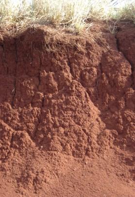 Este é um solo que tem bastante argila, mas também tem areia e silte
