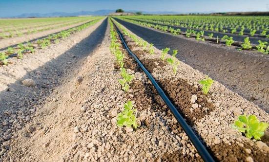 TECNOREGA FEDERAÇÃO NACIONAL DE REGANTES DE PORTUGAL NOVOS PROJETOS (Grupos Operacionais PDR2020) Tecnologias para uma agricultura de regadio sustentável Sistema de apoio à decisão que permita