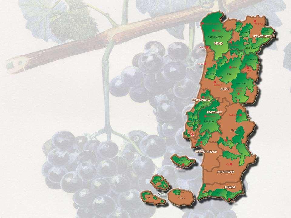 Vinhos de