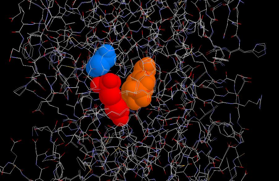 EPSP sintase herbicida glifosato gli96