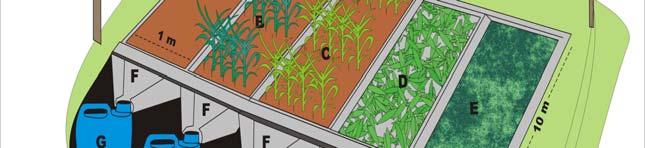 número 1 (solo exposto) em função de apresentar maior variação na densidade de cobertura vegetal, em relação as outras parcelas, no período estudado (Figura 03).
