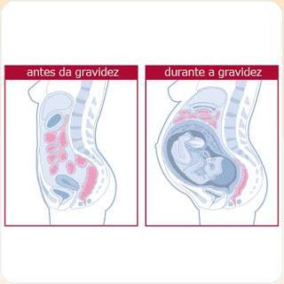 170 ml/min EFEITO DA POSTURA SOBRE FUNÇÃO RENAL Em especial, no final da gestação Posições supina e de pé provocam redução (metade) fluxo sanguíneo renal e filtração