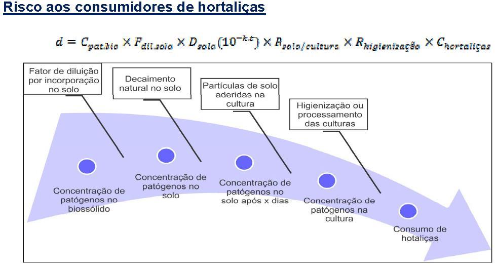 ANÁLISE DE RISCO Nos itens abaixo são apresentadas sugestões e diretrizes básicas para descrição do item referente ao controle a ser executado pelos estabelecimentos, em atendimento ao que