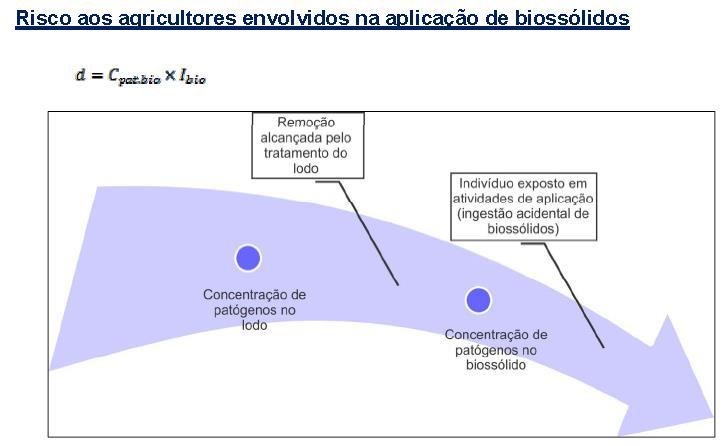 ANÁLISE DE RISCO Nos itens abaixo são apresentadas sugestões e diretrizes básicas para descrição do item referente ao controle a ser executado pelos estabelecimentos, em atendimento ao que