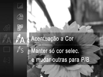 Efeitos de Imagem (Filtros de Efeito Criativo) Fotografias Fotografar com Acentuação a Cor Filmes Escolha uma única cor da imagem para manter e altere as restantes cores para preto e branco.