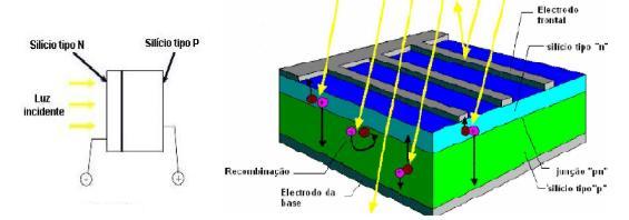 Figura 2.2 Esquema e vista em corte de uma célula fotovoltaica Fonte: Subida (2015) 2.3. Secagem de grãos Segundo Silva et al.