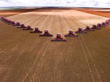 Além da soja, cultivam-se também, em larga escala, o milho, a cana-de-açúcar e o algodão. Na pecuária, a maior parte da produção é a de carne de porco e de aves.